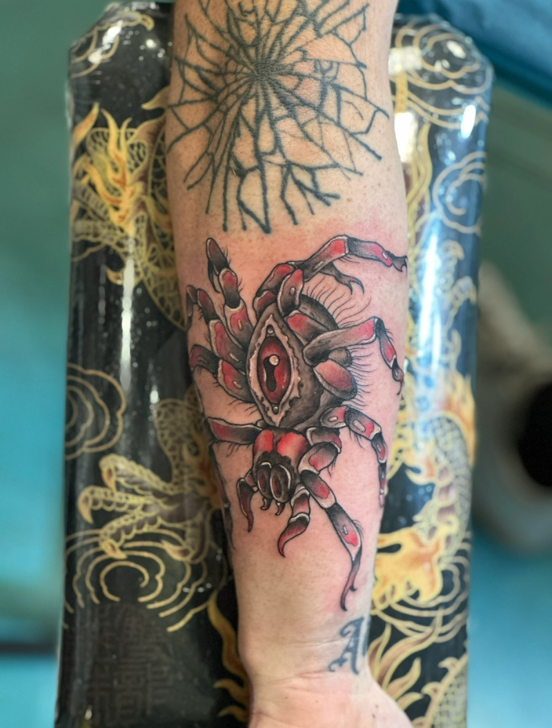 Colorful spider tattoo in neo traditional style on forearm