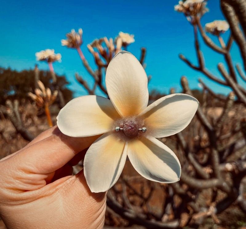 Hayley portfolio work