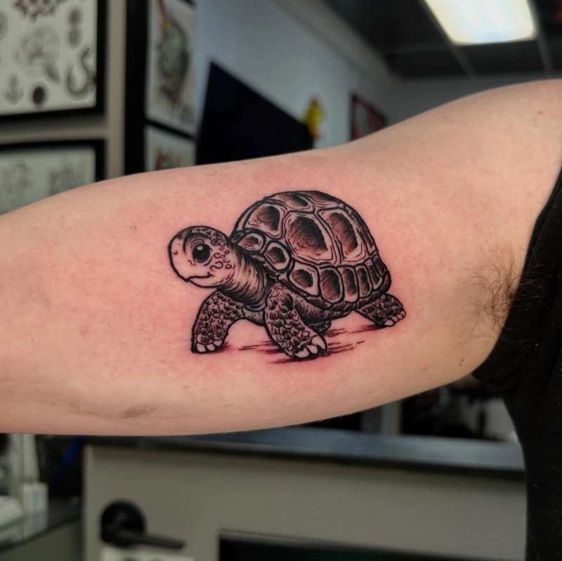 realistic tortoise tattoo on upper arm