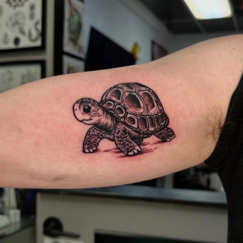 realistic tortoise tattoo on upper arm