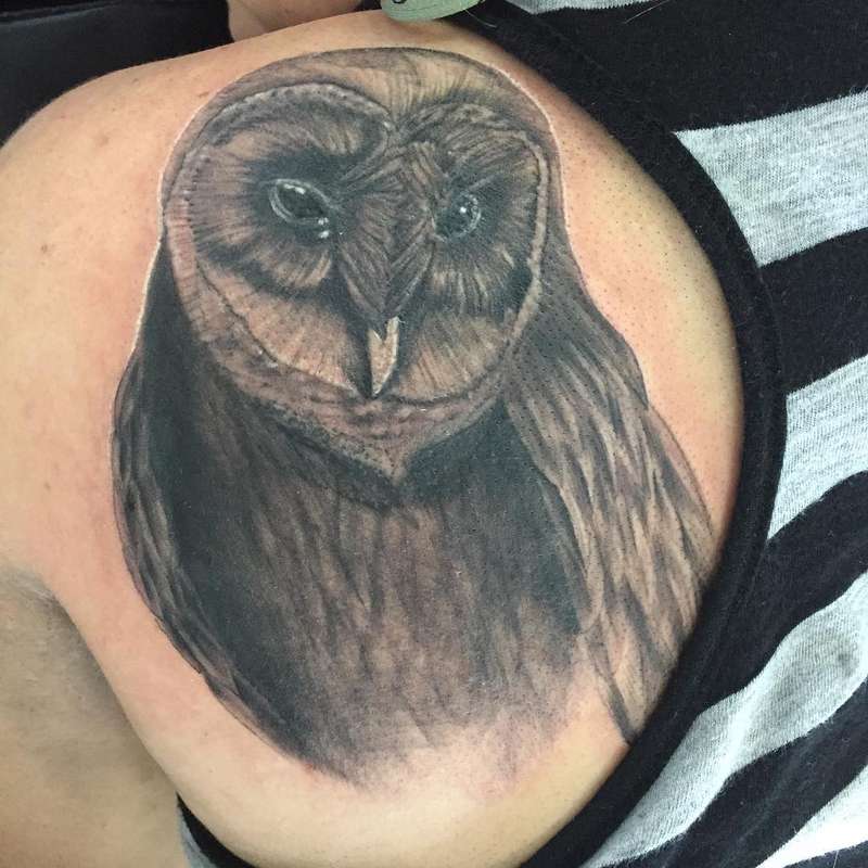 Black and grey realistic owl tattoo on shoulder