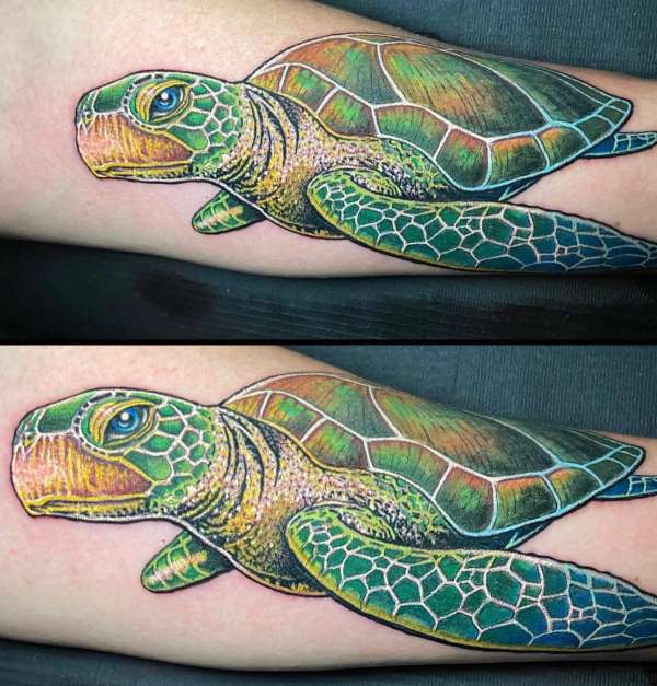 Vibrant color illustrative sea turtle tattoo on forearm.