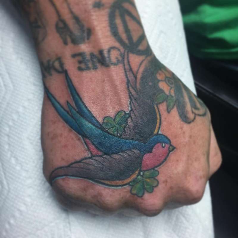 colorful swallow tattoo on hand