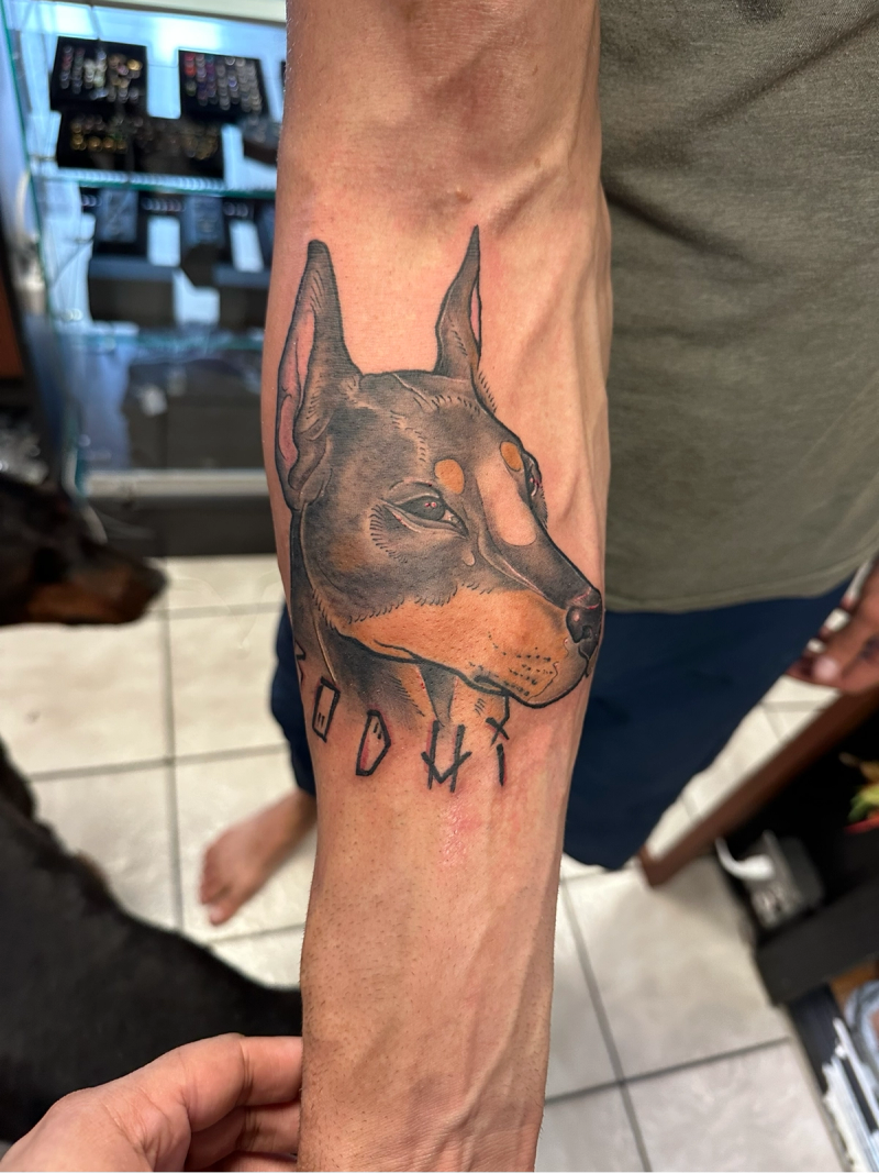 Color illustrative tattoo of a Doberman dog's head on forearm