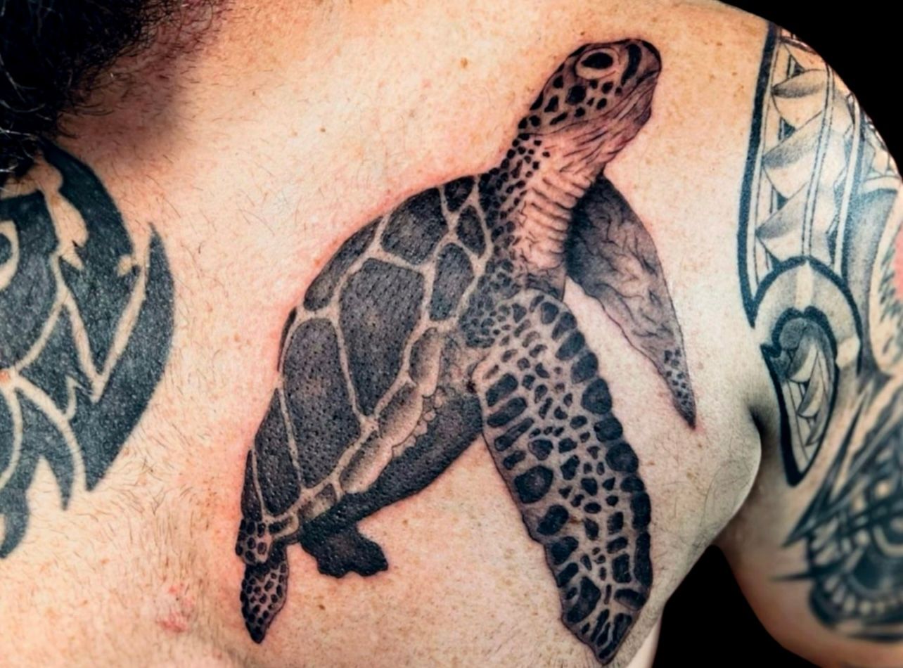 Black and grey realistic sea turtle tattoo on upper back