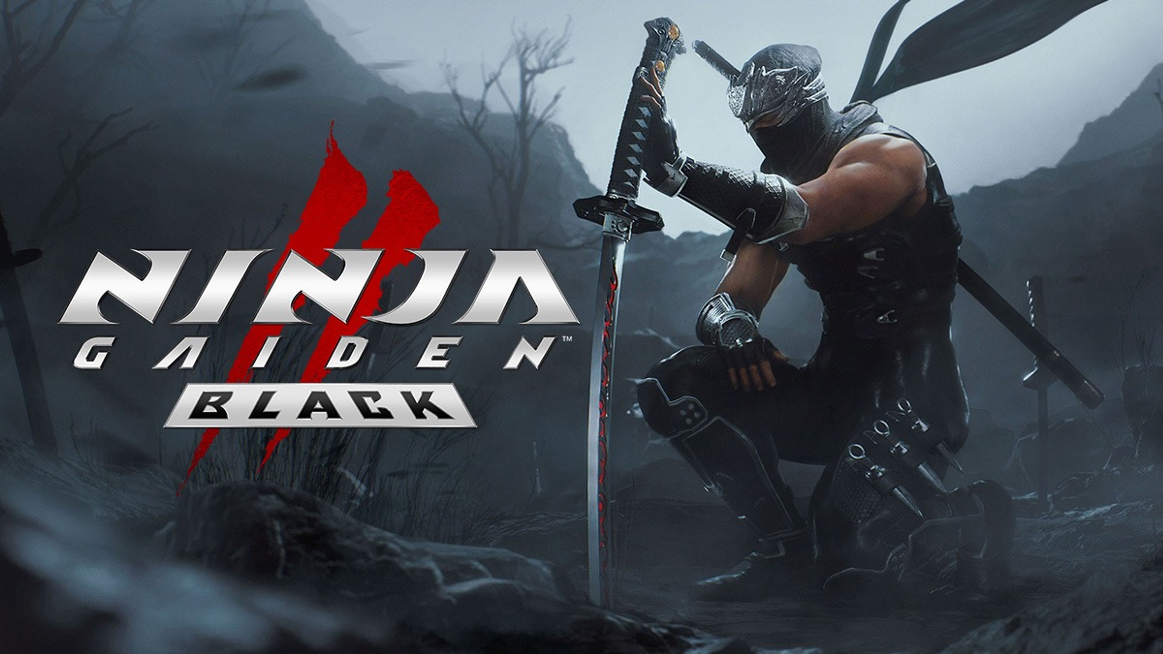مراجعة Ninja Gaiden 2 Black