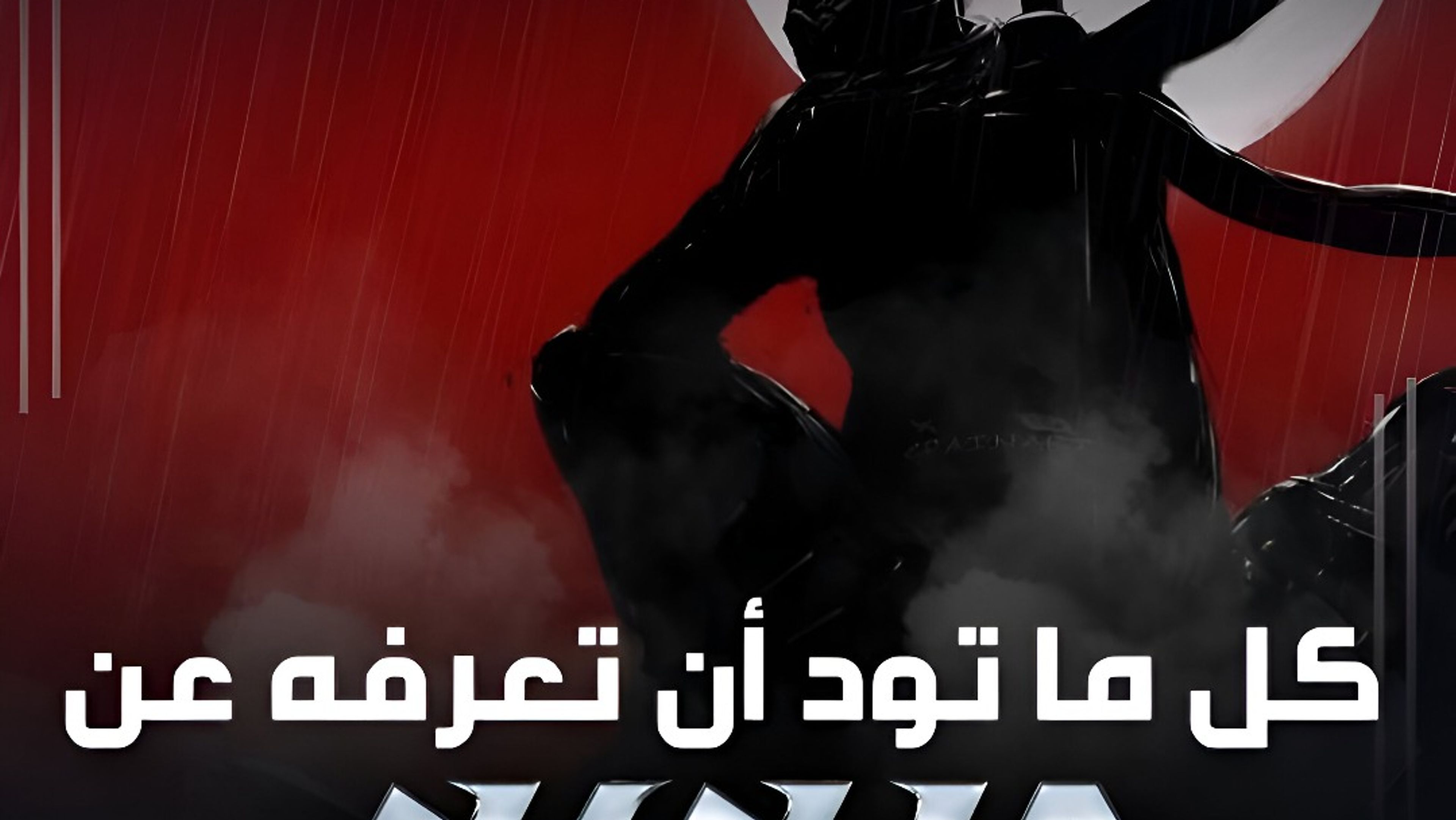 تاريخ سلسلة Ninja Gaiden