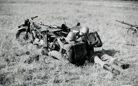 Artikel-teste testesen