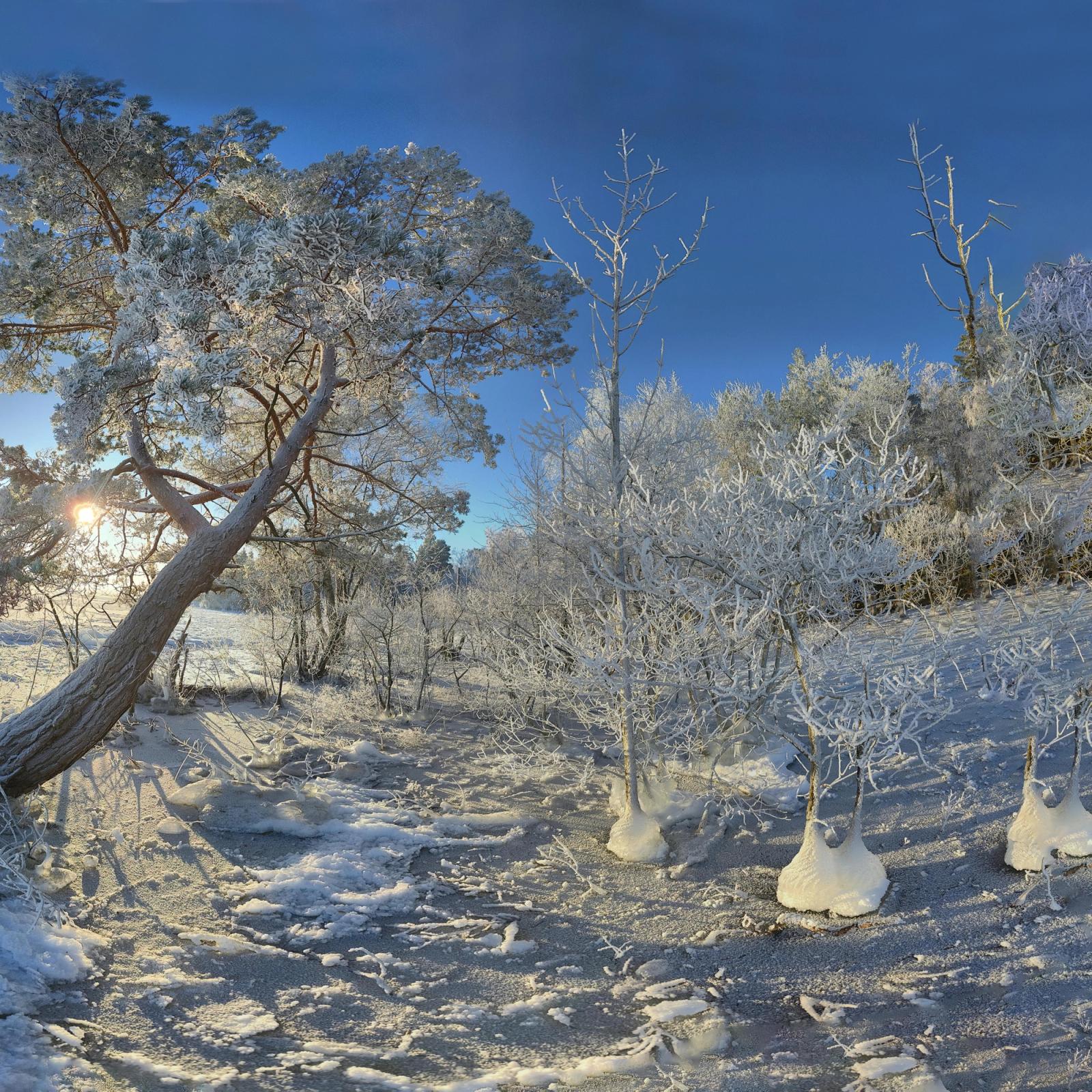 Crisp snowy landscape