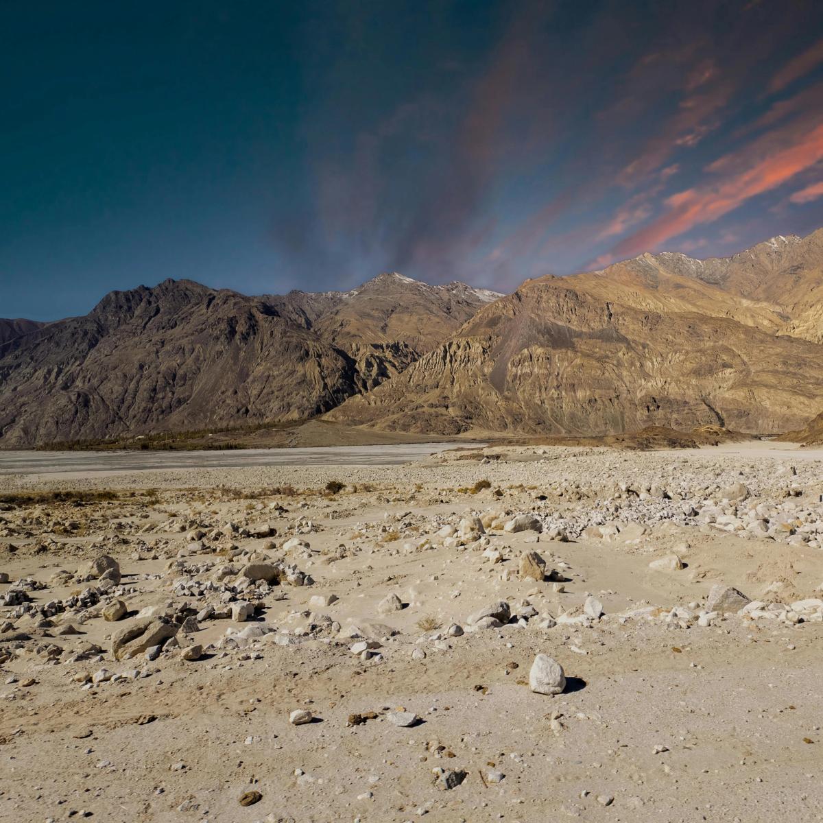 Expansive desert landscape