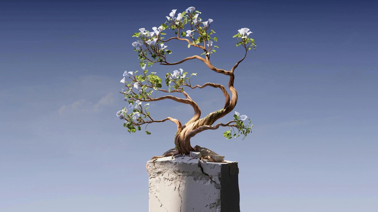 Surreal bonsai tree in bloom on a concrete plinth