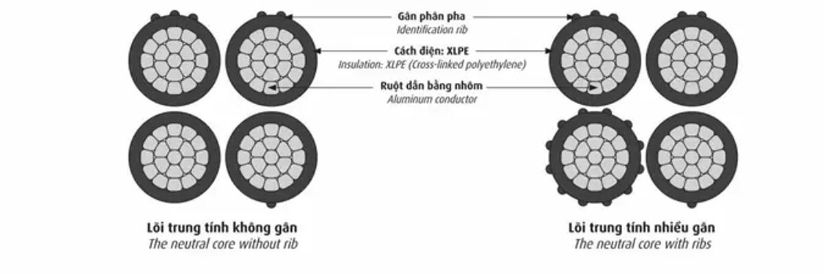 Cấu trúc