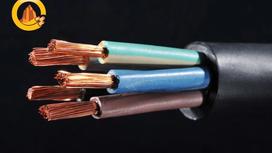 Cáp dữ liệu đạt chuẩn UL là gì? Ưu điểm của các loại cáp này