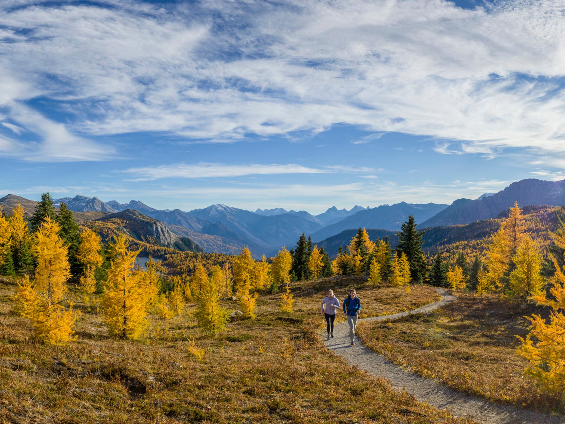 Couple jogging on a path in Sunshine Meadows during larch season.