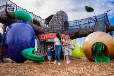 A family plays near a tree-shaped climbing structure.