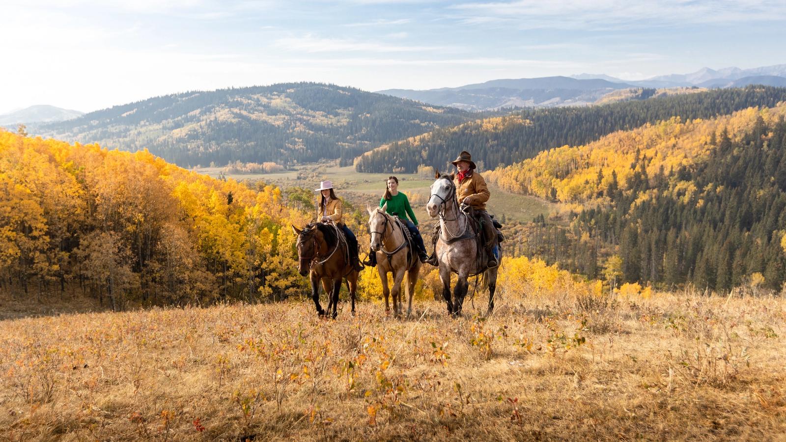 Board of Directors | Travel Alberta