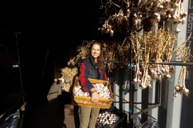 Cheryl Greisinger, Owner of Forage & Farm in Millarville, holds a box of local garlic.