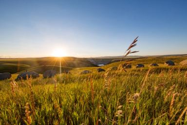 Sun setting in the prairies at Oldman Dam Provincial Recreation Area near Pincher Creek.