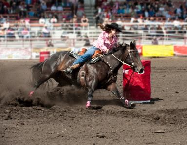 A cowgirl rounds a barrel during a barrel racing competition at a rodeo.