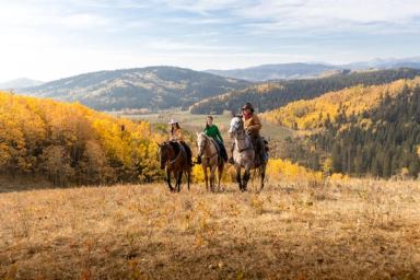 Three riders walking up the hill on horseback in Diamond Valley