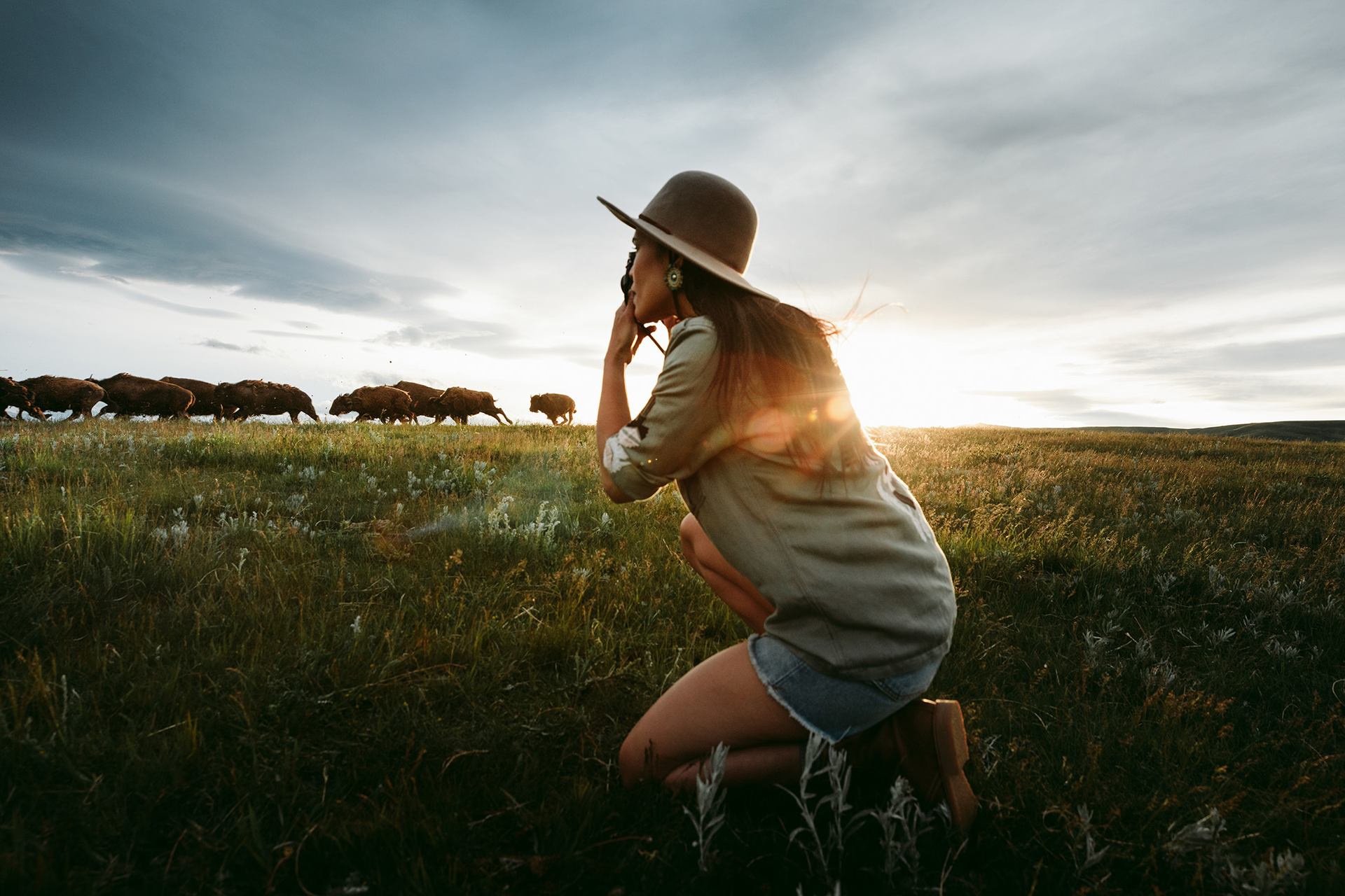 Woman taking a photo of buffalo grazing in a meadow