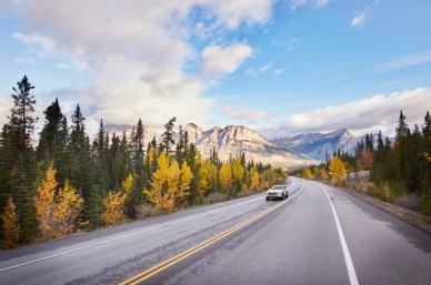 A car drives along the Icefields Parkway in Jasper National Park.