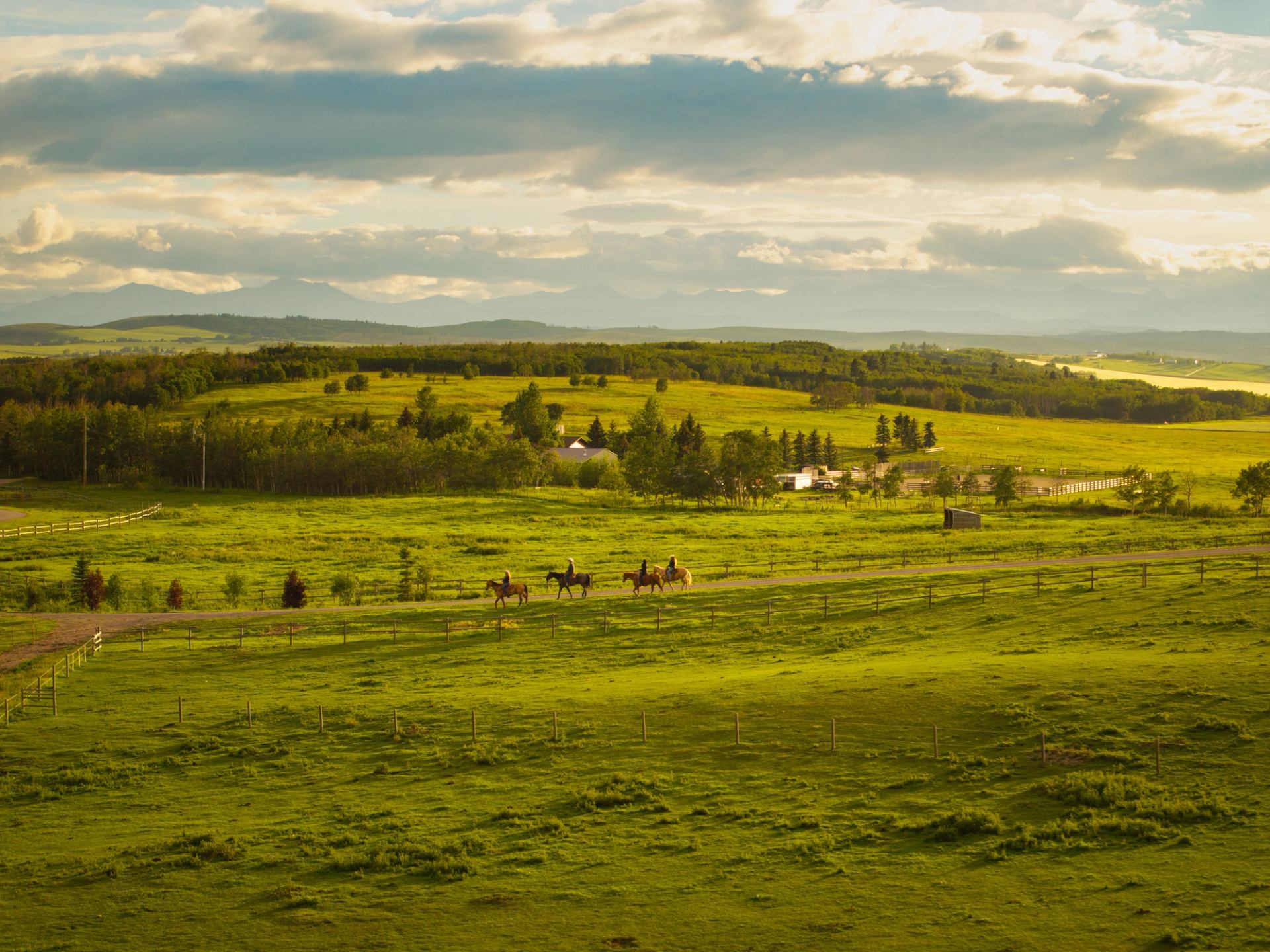 A family ride on horseback in rolling hillside near Millarville.