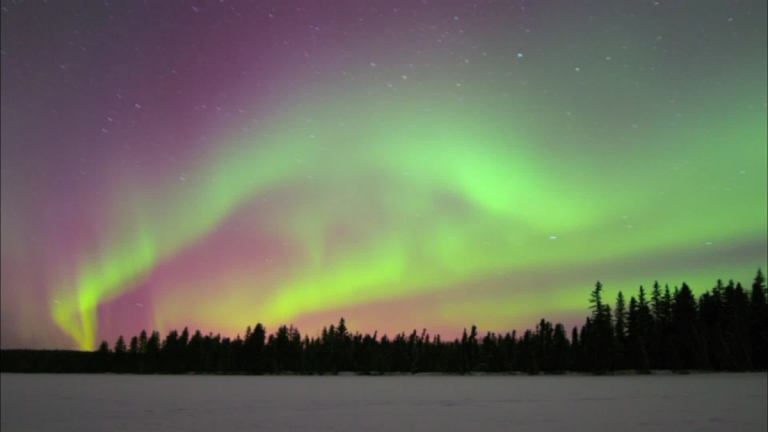 Pink and green northern lights streak through the sky over a forested area. 
