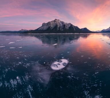 An enormous portrait painted on the frozen lake surface with a mountain in the distance at sunset.