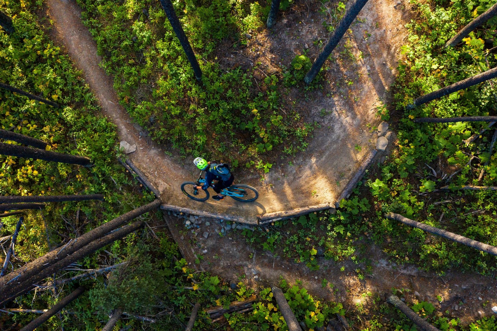 A mountain biker follows a twisting trail through a forest in Alberta’s southern Rockies.