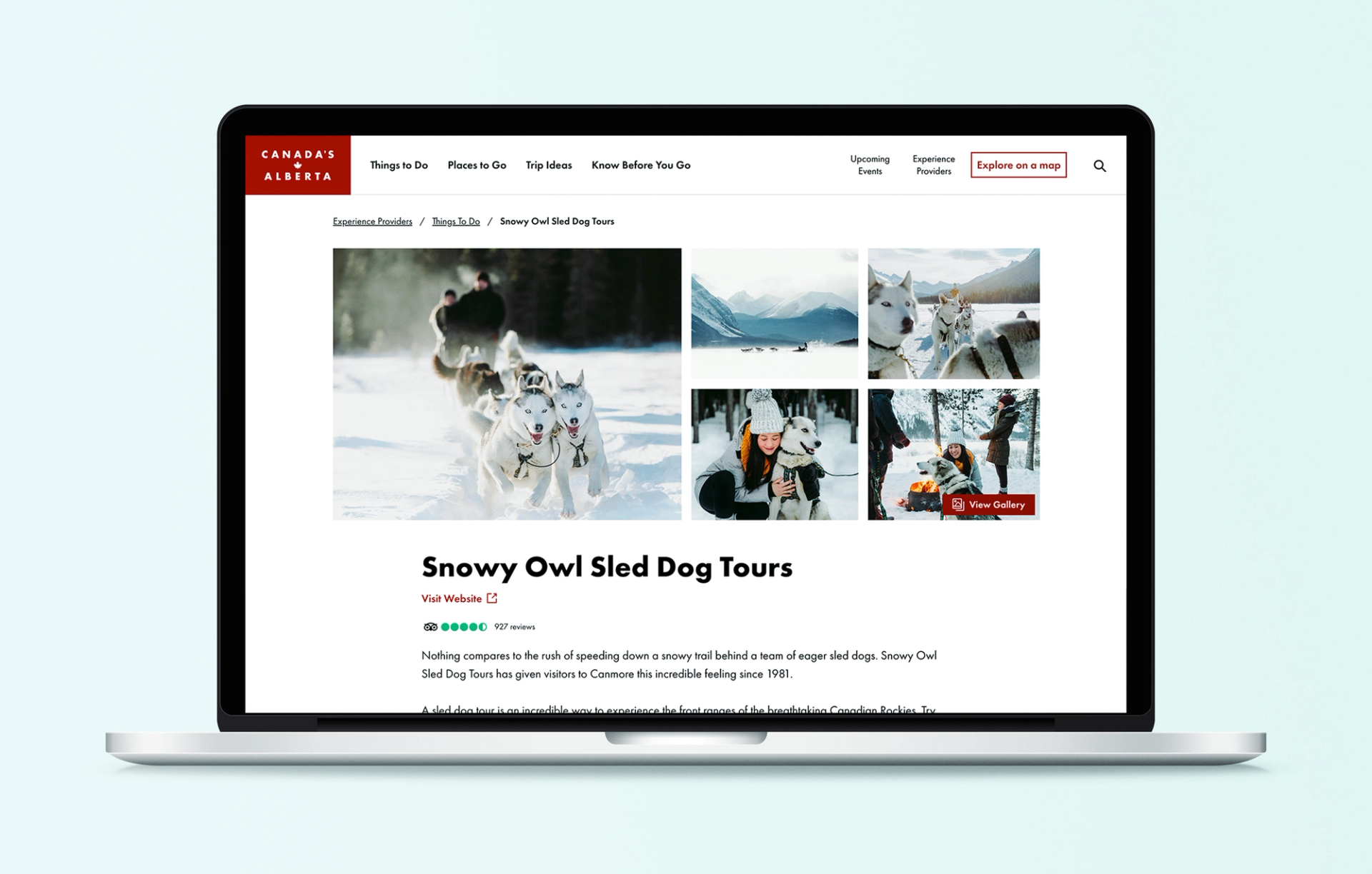 ATIS listing example page