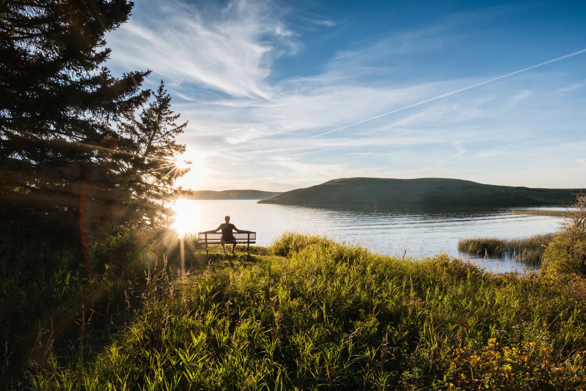 Person sitting on bench at Cypress Hill Provincial Park