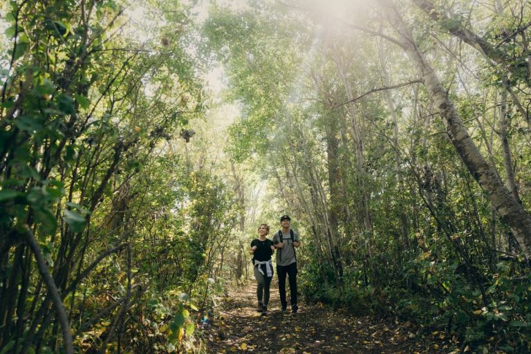 Two hikers walk through the trees as sunlight streams down.