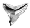 Silver Tooth Logo