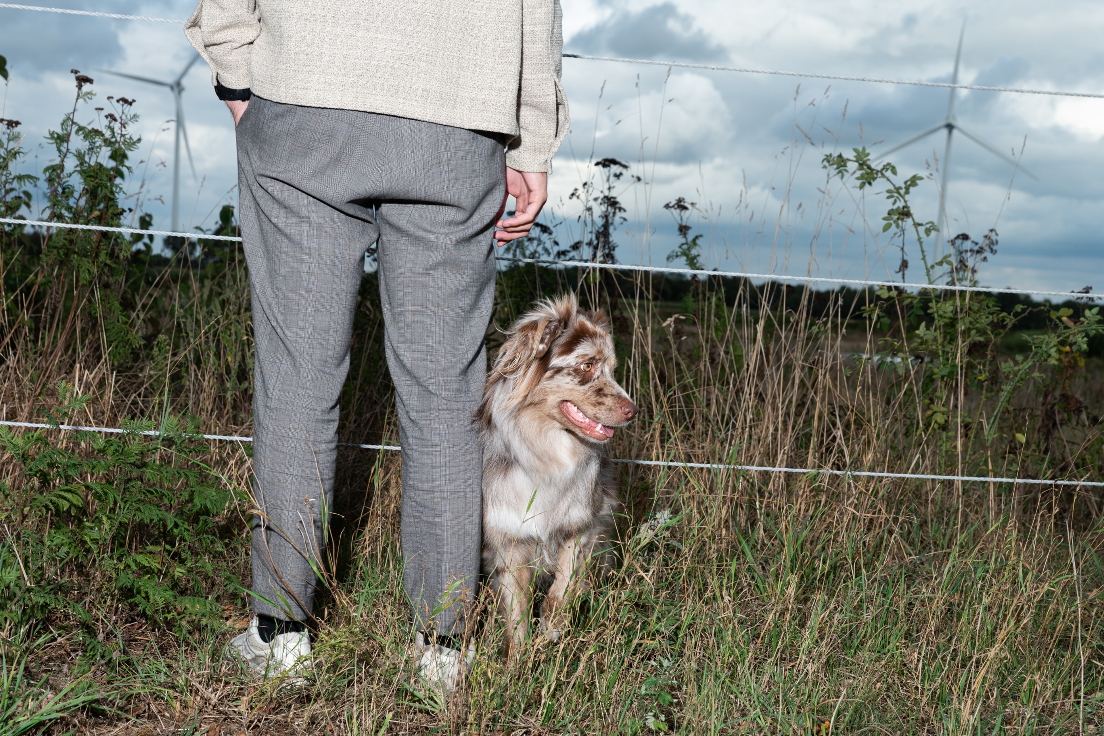 Een hond met zijn baasje in een natuurlijke omgeving, symbool voor lokale energie dicht bij ons