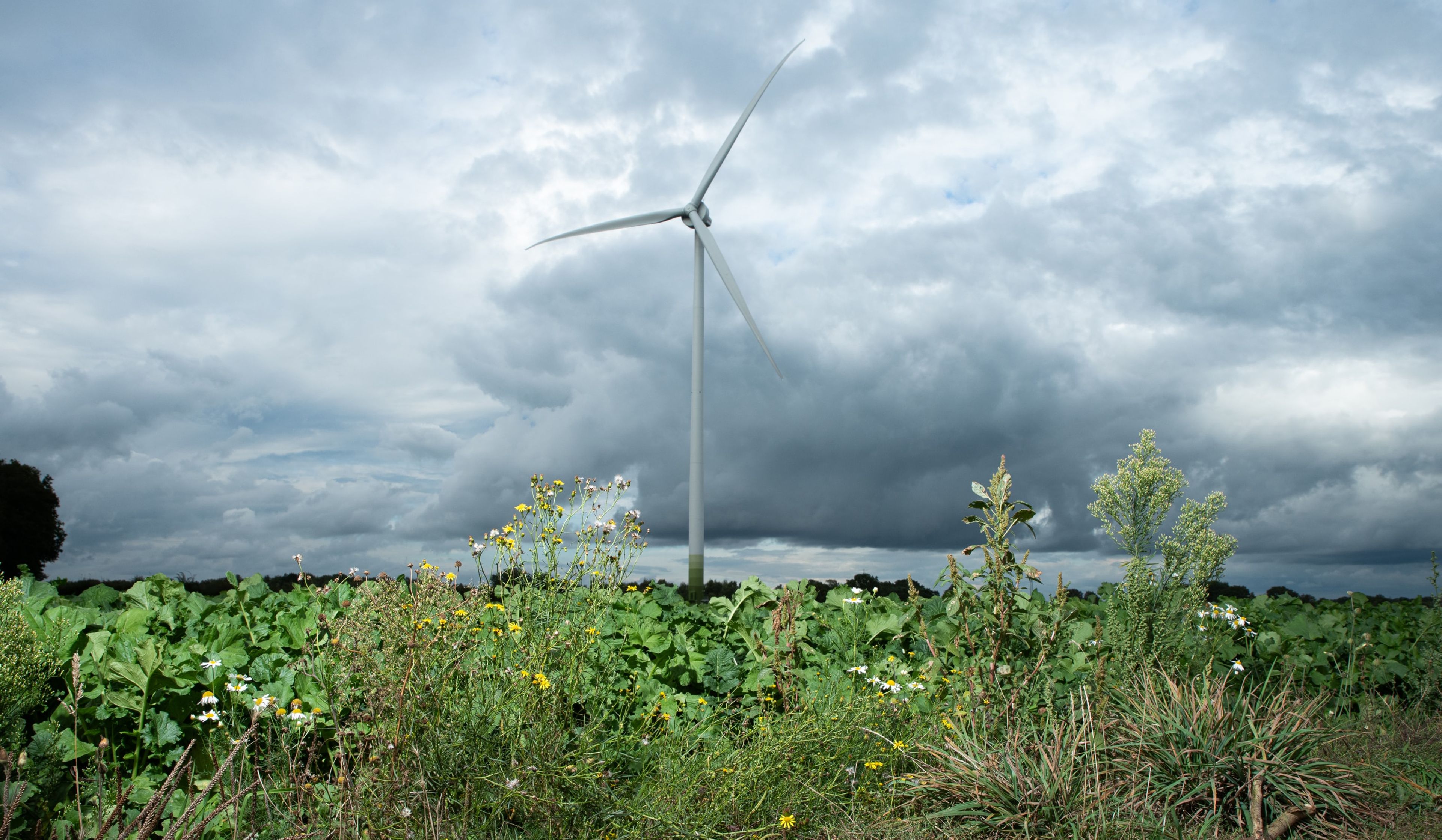 Windmolen wekt lokaal groene energie op bij ons in de buurt - duurzaam en dichtbij