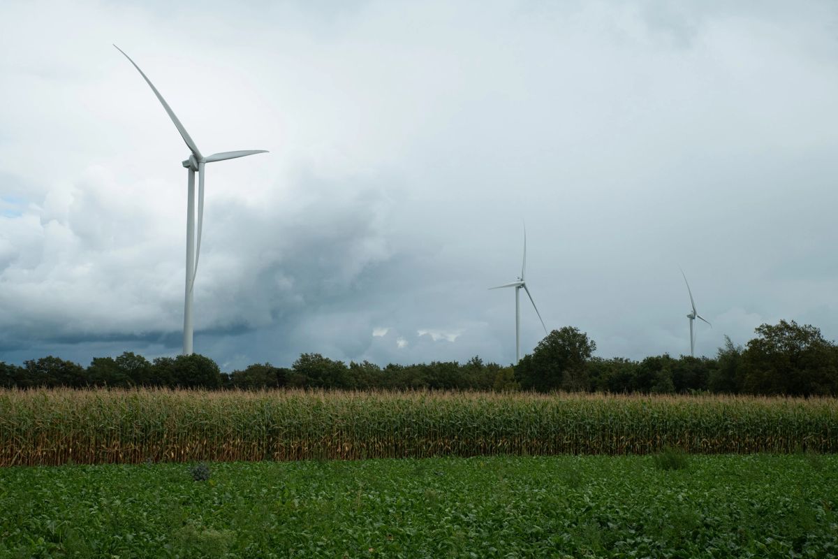 Windmolen wekt lokaal groene energie op bij ons in de buurt - duurzaam en dichtbij