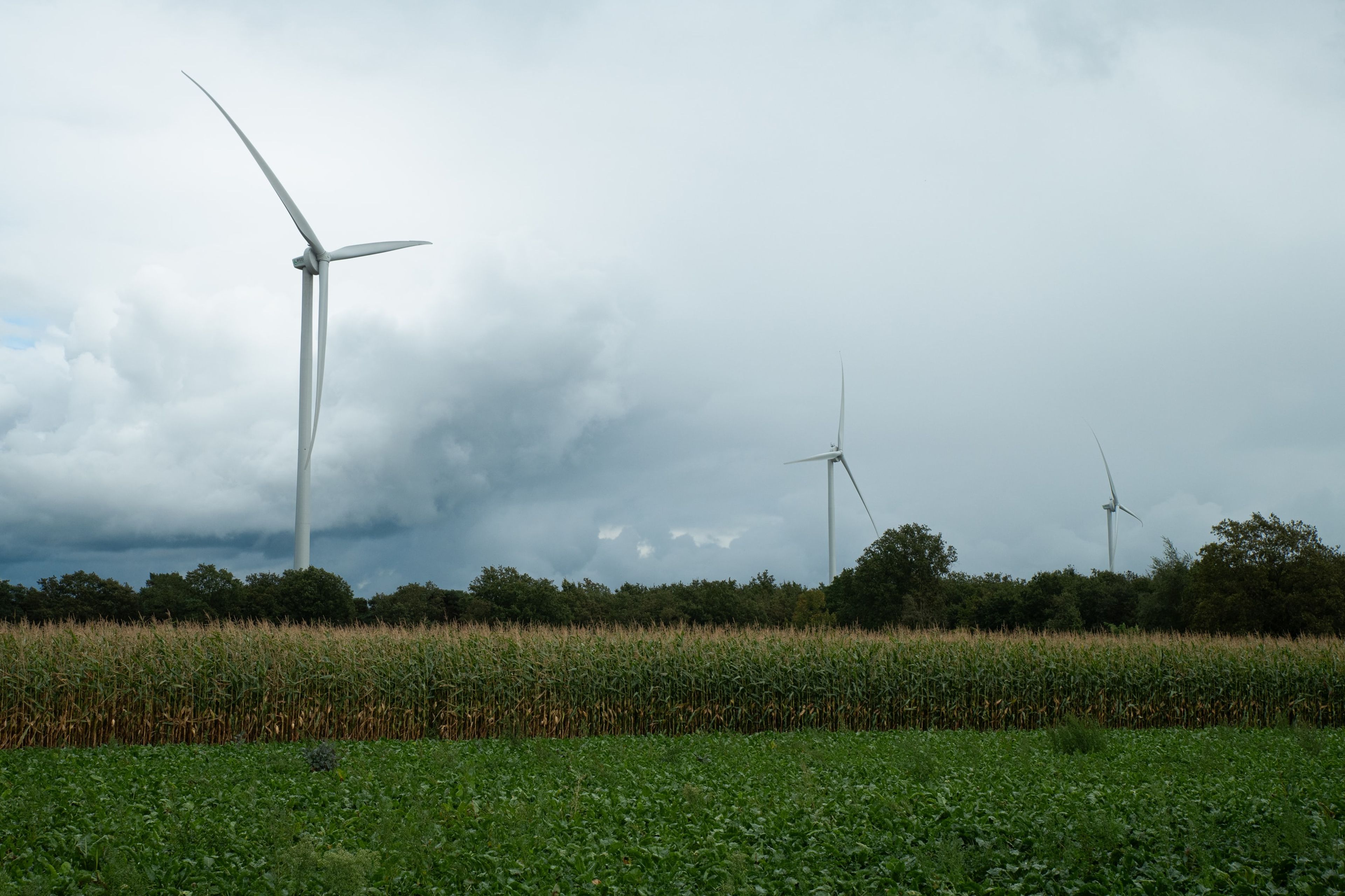 Windmolen wekt lokaal groene energie op bij ons in de buurt - duurzaam en dichtbij