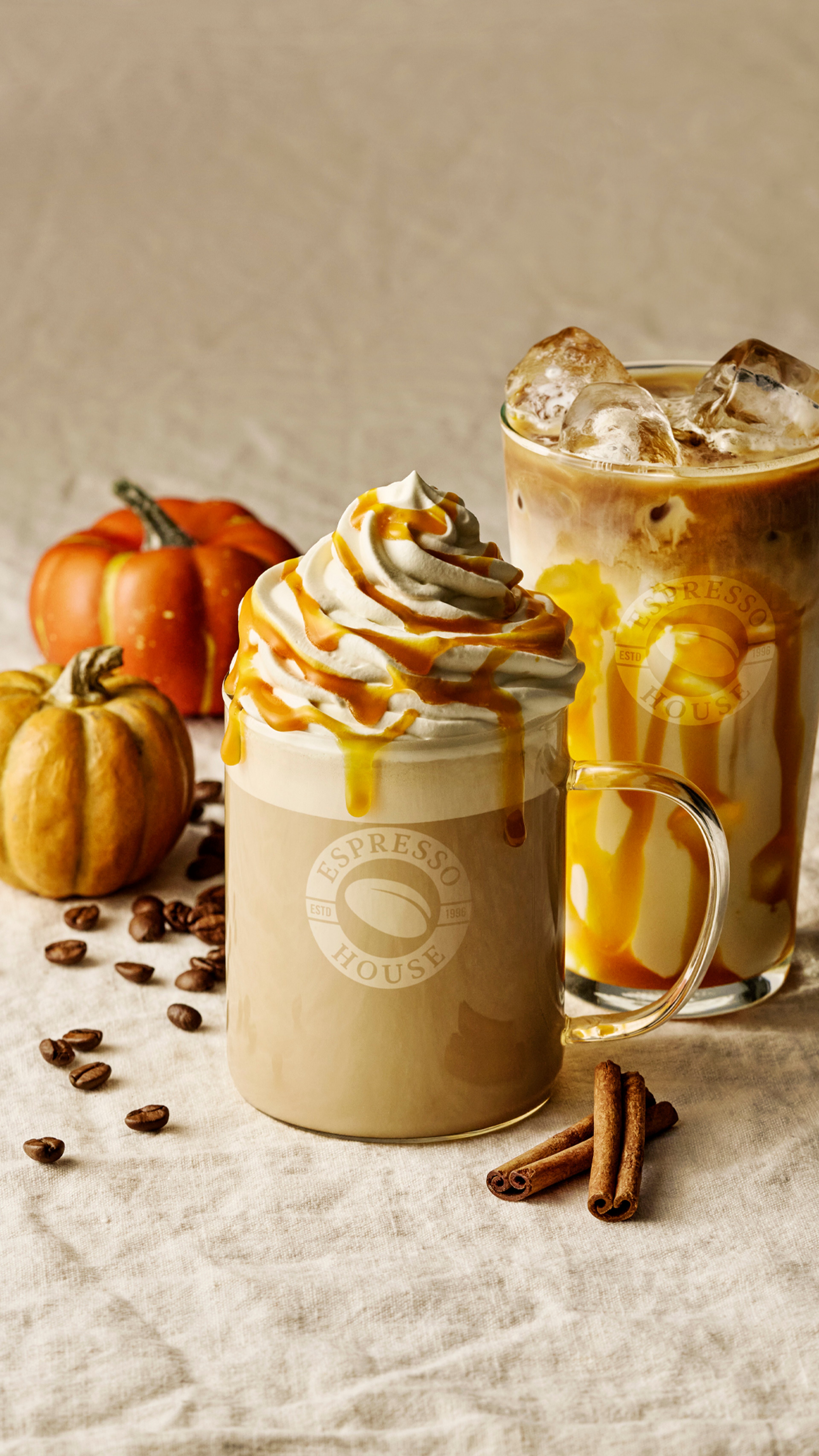 Das Herbst ist da – genieße heiße und kalte Pumpkin Favoriten