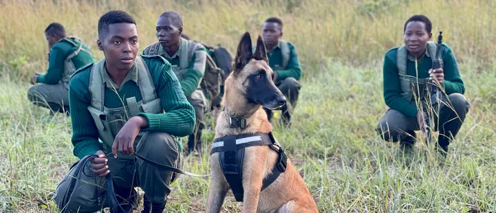  Varje gåvokort skyddar 100 kvm vildmark i Zimbabwe
