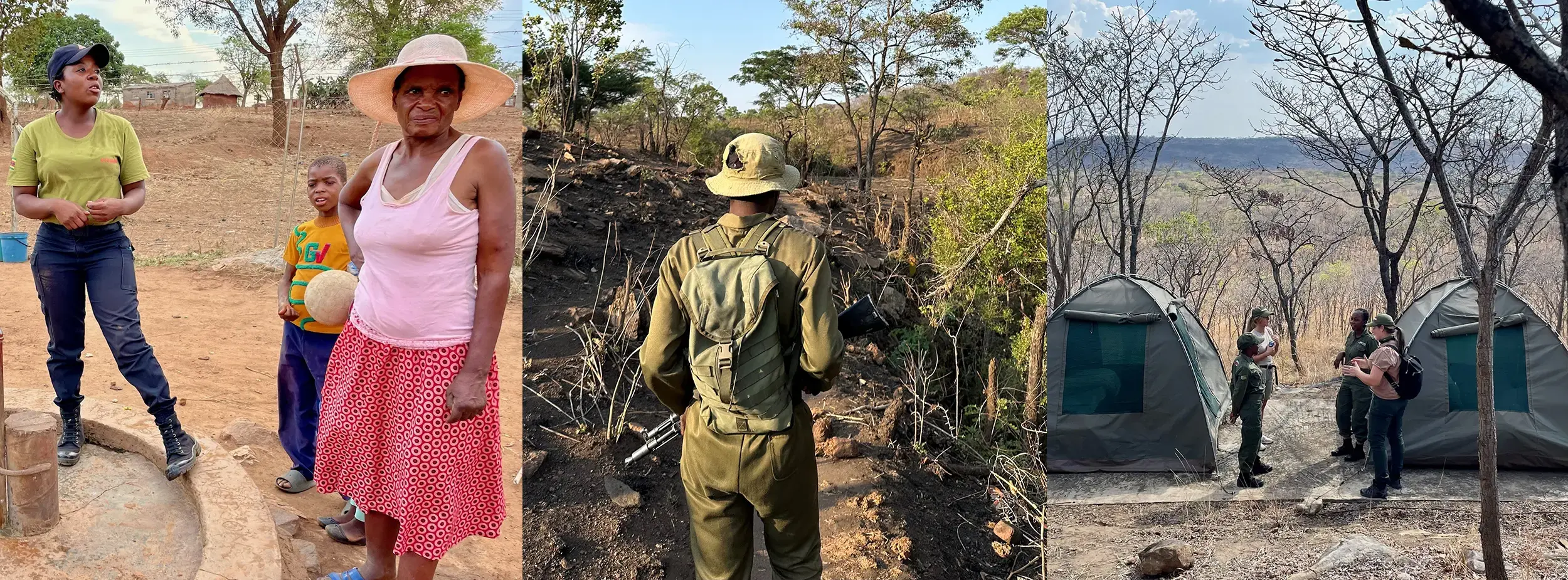 Akashinga, Morot & Co, Wildhood Foundation i Zimbabwe