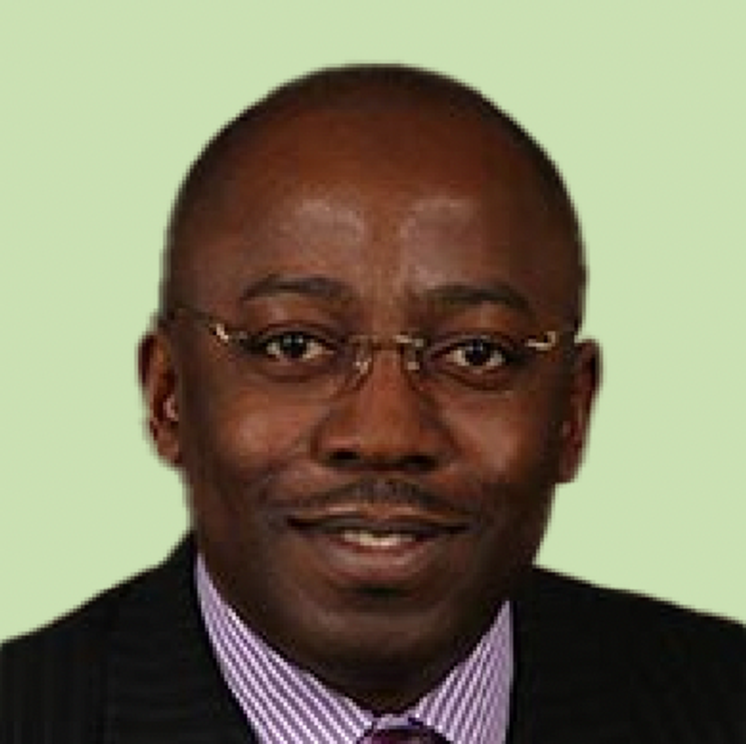 Dr. David Ikudayisi photo