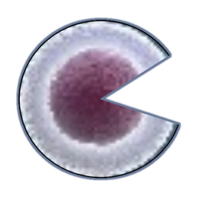 Dakota Stem Cell Institute Logo