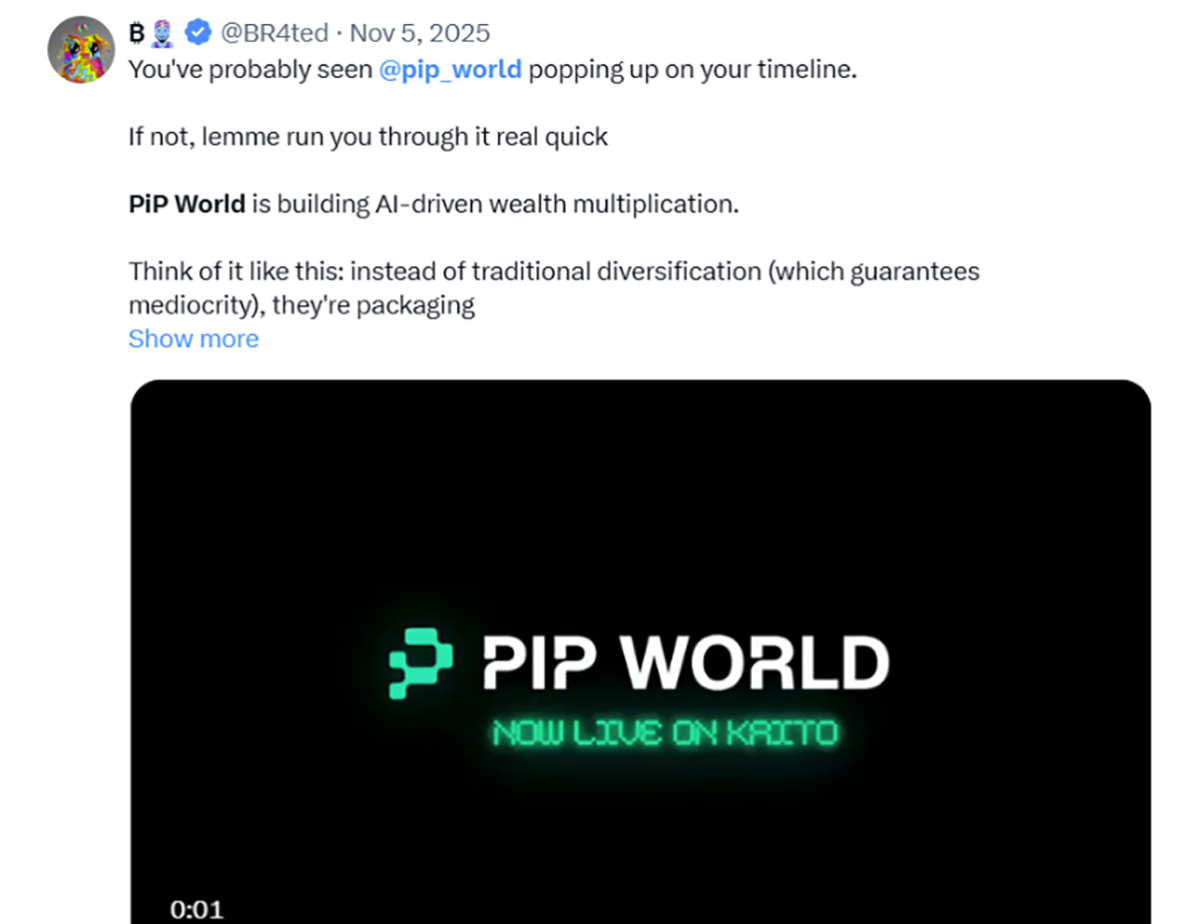 PIP World creative — PIP World Creative 9