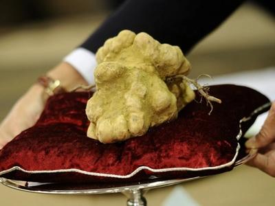 The most expensive food products in the world
