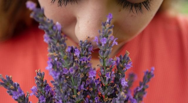 Effects of scent on health and mood