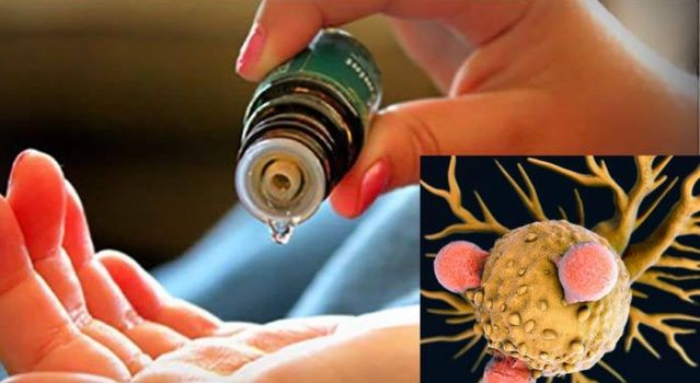 Essential oils that can kill cancer cells