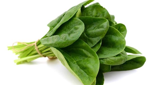 Benefits of using spinach