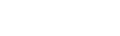Perlon AI logo