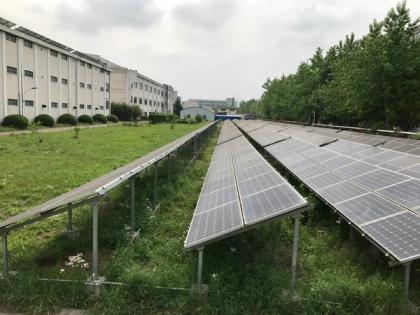 Sustainability 1